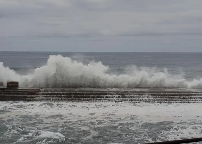 Armonia Park, Tenerife * バハマル