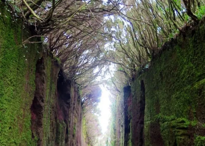 Armonia Park, Tenerife