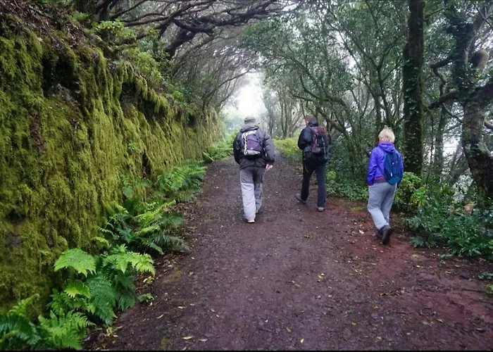 アパート Armonia Park, Tenerife *