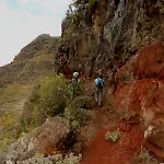Armonia Park, Tenerife