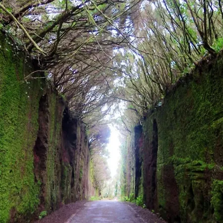 Armonia Park, Tenerife